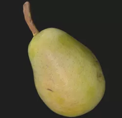Pear scan Low-poly  3D model