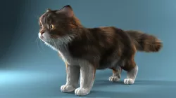 Persian cat 3D model