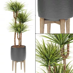 Plant in Pot Flowerpot Exotic Plant 3D model