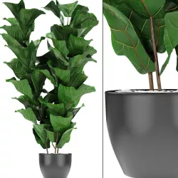 Plant in Pot Flowerpot Exotic Plant 3D model