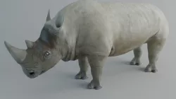 Rhino Low-poly  3D model
