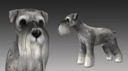 Schnauzer Dog 3D model