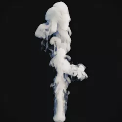 Smoke 20 3D model