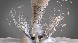  splash 3D model