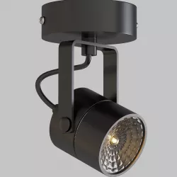 Spot 79 3D model