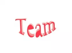 team logotype 3D model