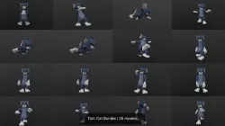Tom Cat Bundle 3D Model Collection