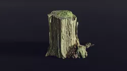 tree stump big old mossy 1 - Photoscanned 3D model
