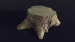 tree stump medium 1 - Photoscanned 3D model