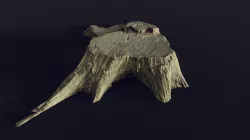 tree stump medium old 2 - Photoscanned 3D model