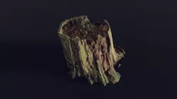 tree stump medium old mossy 1 - Photoscanned 3D model