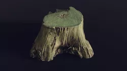 tree stump medium old mossy 2 - Photoscanned 3D model