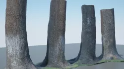Tree Trunk - 04 3D model