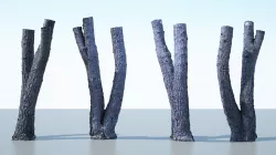 Tree Trunk - 06 3D model