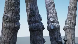Tree Trunk - 07 3D model