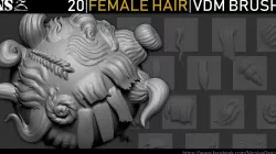 Zbrush - Female Hair VDM Brush 3D model