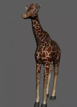 Zeraf Low-poly  3D model
