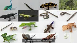 15 Lowpoly Reptile Animals Pack 3D Model Collection