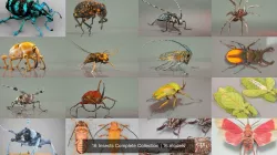 16 Insects Complete Collection 