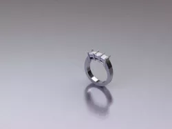4 MM PRINCESS  3D model