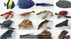 50 Low Poly Ocean Life Super Pack 3D Model Collection