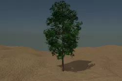 Arbol tipo ficus 3D model