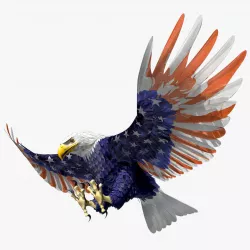 Bald Eagle 2 Stars And Stripes 3D model