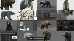 bear collection 