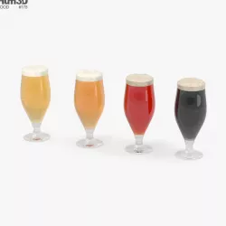 Beer Glass 3D model