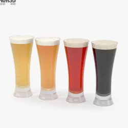 Beer Pilsner Glass 3D model