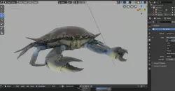 blue crab 3D model