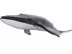 Blue Whale 3D model