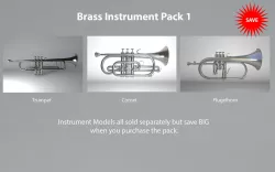 Brass Instruments Pack 1  Trumpet Cornet and Flugelhorn 3D model