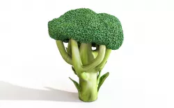 Broccoli Low-poly  3D model
