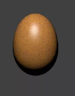 Brown egg 3D model