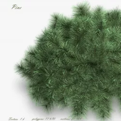 Bush Pine  3D model