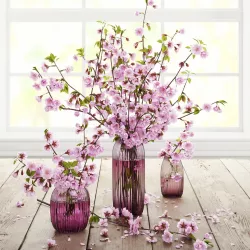 Cherry flowers 3D model