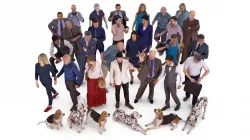 City People and Pets Collection x33 