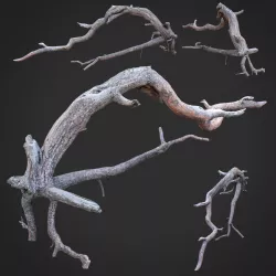 Dead tree 3d scan - SNA0003 3D model