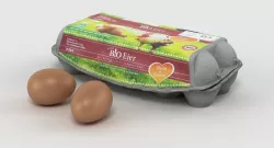 Egg Carton 3D model