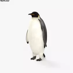 Emperor Penguin HD 3D model