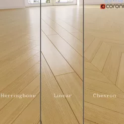 European ash 3D model