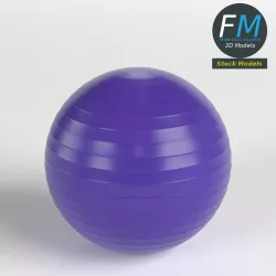 Fitball 3D model