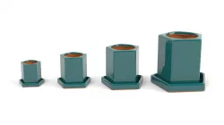Fittoniya Pot 3D model