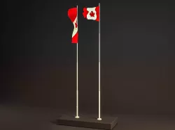 Flag with Animation Low-poly  3D model
