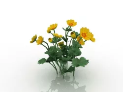 Flowers Low-poly  3D model