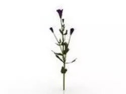 Flowers Low-poly  3D model