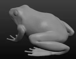 Frog base mesh 3D model