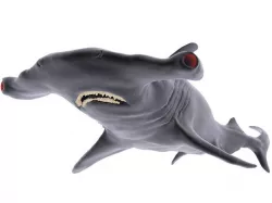 Hammer Shark 3D model