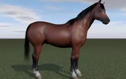 Horse rigging 3D model